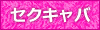 ツーショットキャバクラ（セクキャバ）